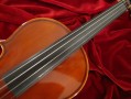 Violin Fingerboards