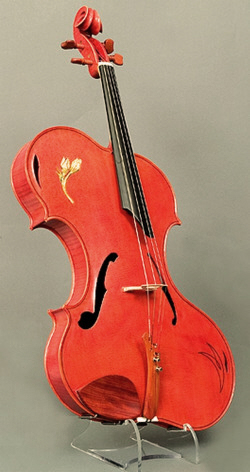 photo of Rivinus Viola on display in the Nationion Music Museum