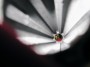 Interior view of a corrugated tube style