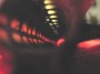 Flute Fin Tube Interior View
